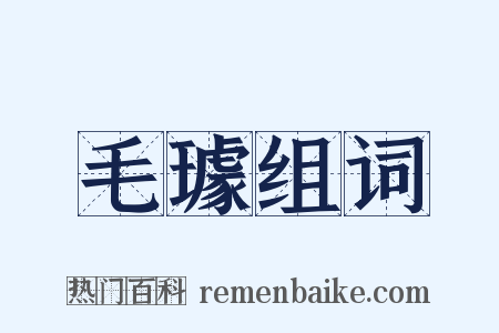 毛璩组词是什么意思的图片